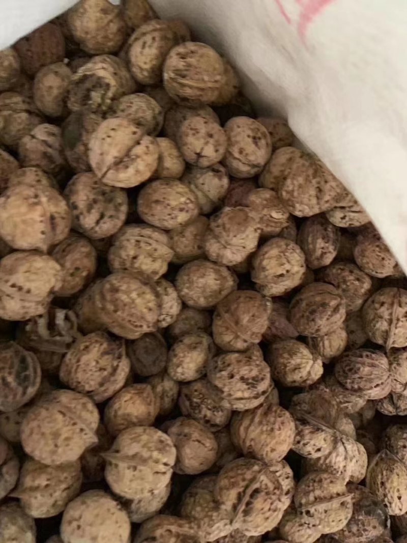 新果云南麻子，果肉饱满坏果少