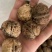 新果云南麻子，果肉饱满坏果少