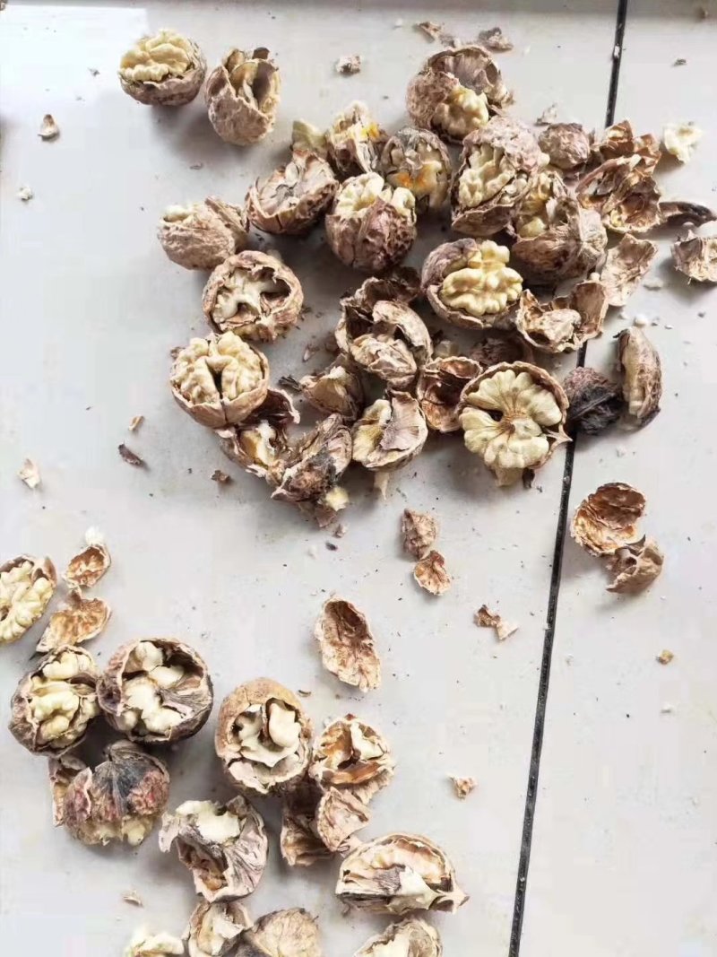 新果云南麻子，果肉饱满坏果少