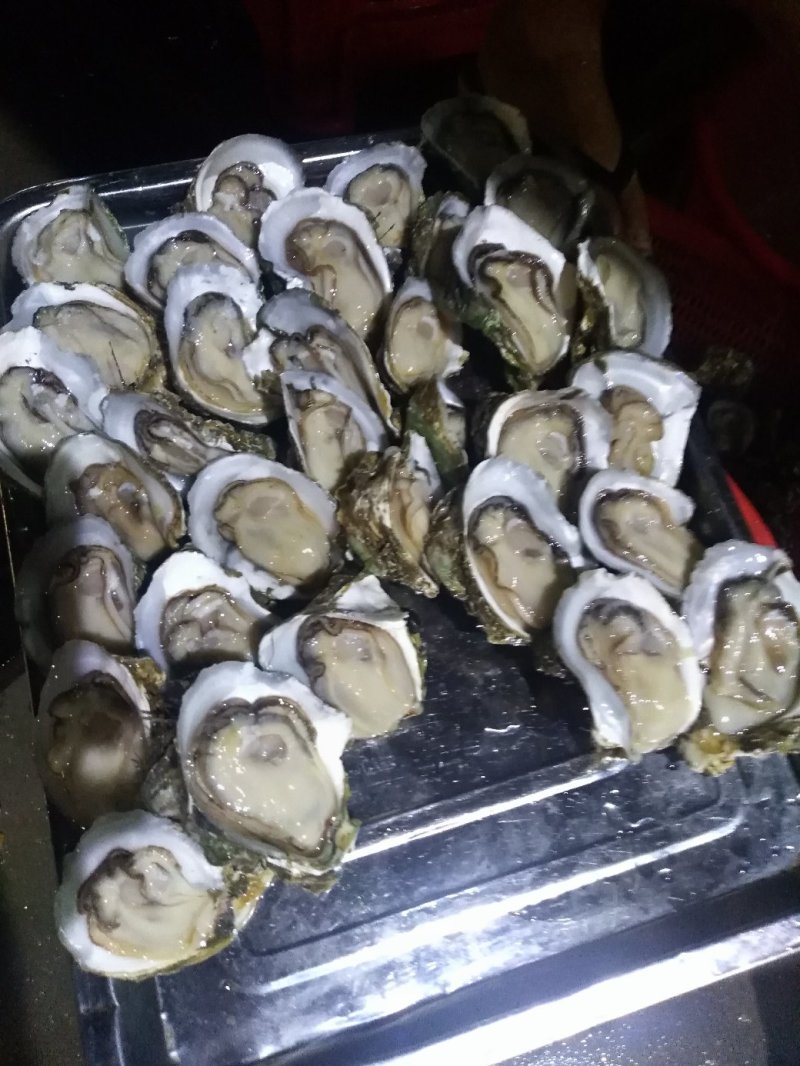 湛江官渡生蚝
