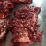 蒙古进口马肉后腿肉，精修去油