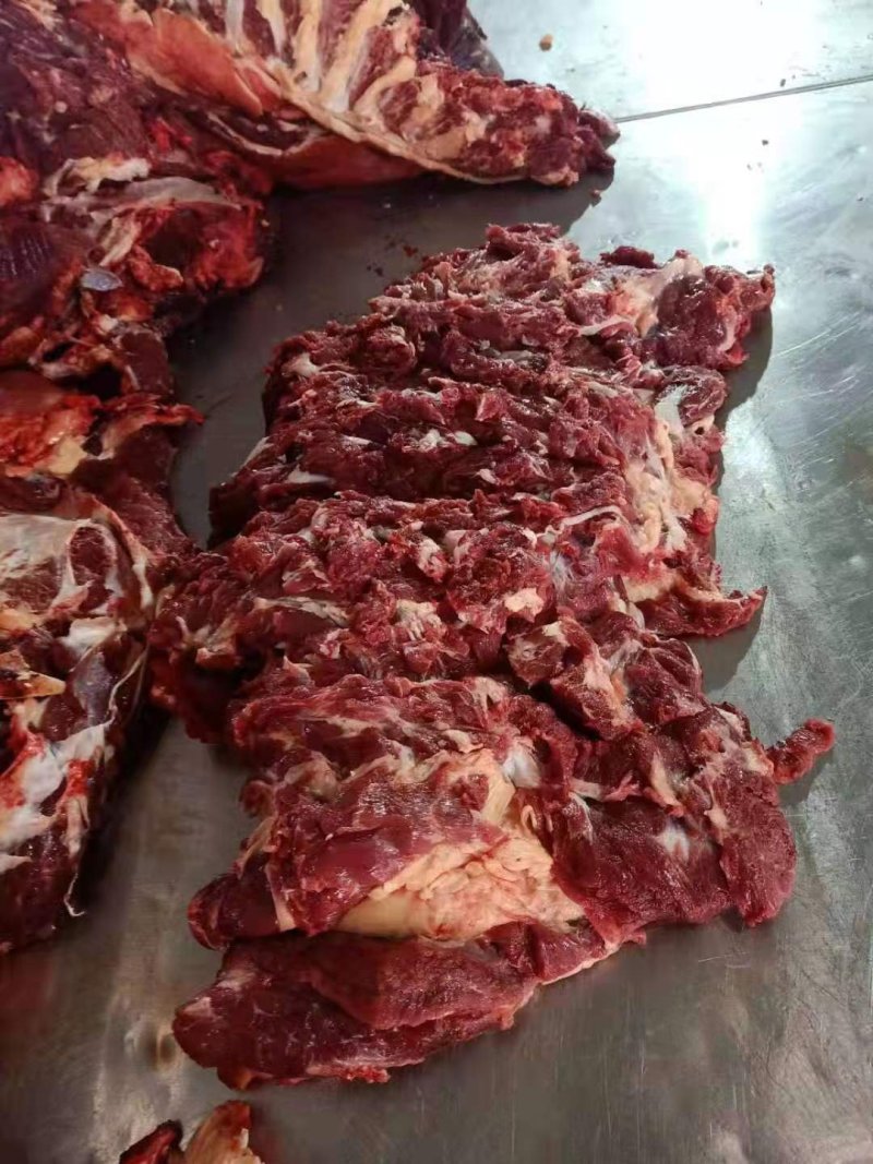 蒙古进口马肉后腿肉，精修去油
