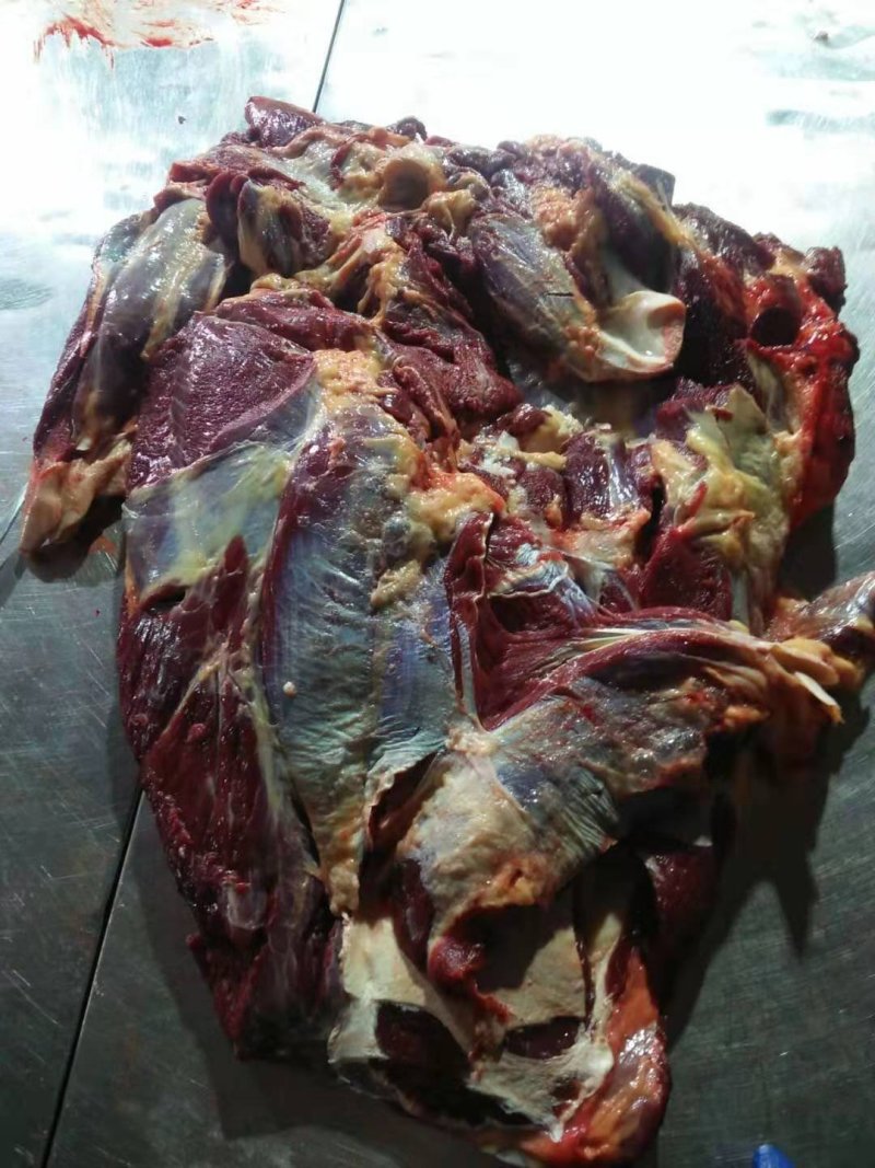 蒙古进口马肉后腿肉，精修去油