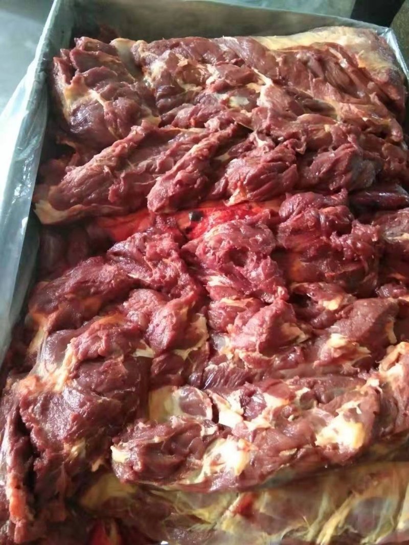 蒙古进口马肉后腿肉，精修去油
