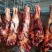 蒙古进口马肉后腿肉，精修去油
