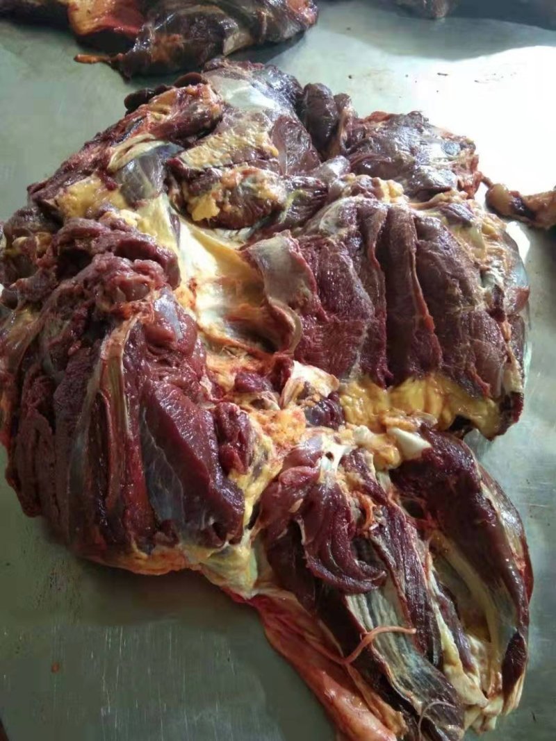 蒙古进口马肉后腿肉，精修去油