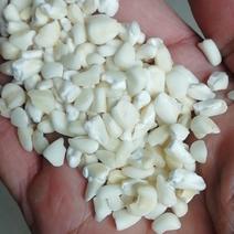 白粘糯玉米碴玉米糁玉米渣产地直供品质保证全国发货
