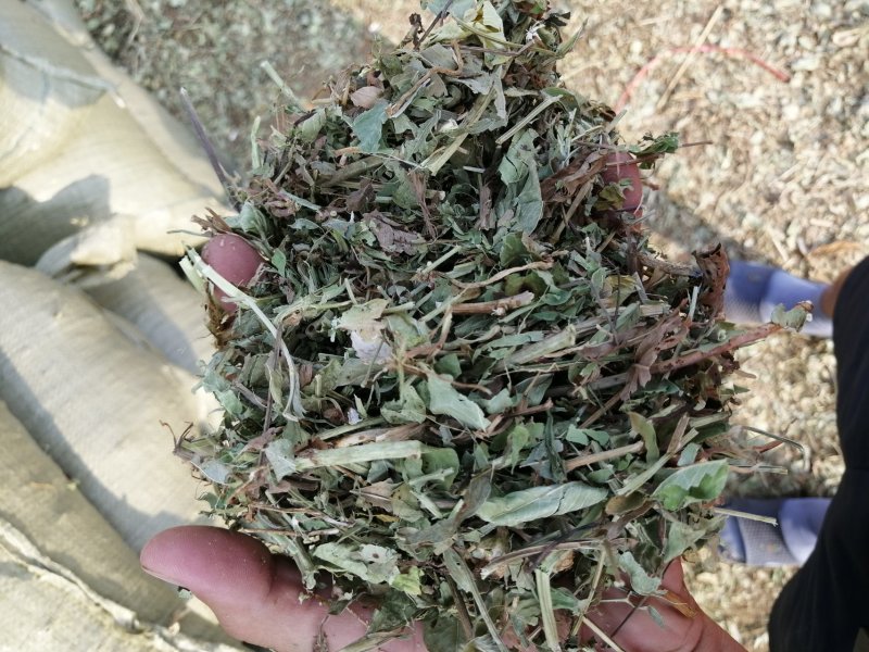 花生秧细粉，质量以装车前发照片为准，