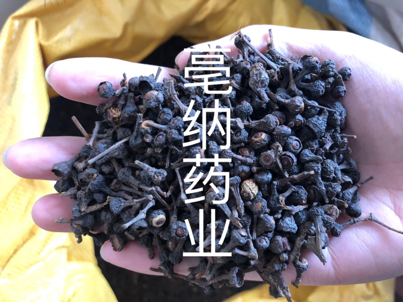香料大全桂子特级肉桂籽调味料1公斤起批
