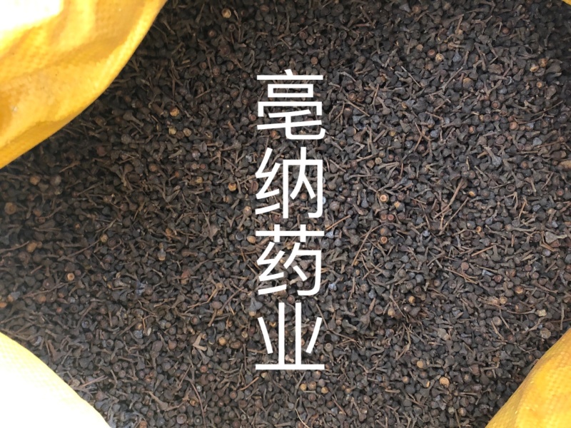 香料大全桂子特级肉桂籽调味料1公斤起批