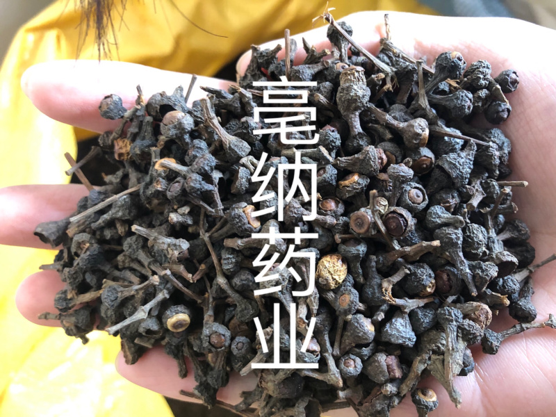 香料大全桂子特级肉桂籽调味料1公斤起批