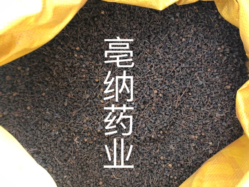 香料大全桂子特级肉桂籽调味料1公斤起批