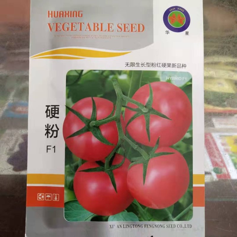 粉皇西红种子品种硬粉耐运输品种品种齐全