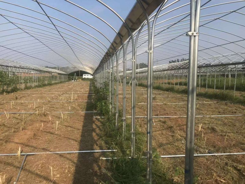 厂家直销温室大棚骨架钢管配件蔬菜大棚养殖大棚