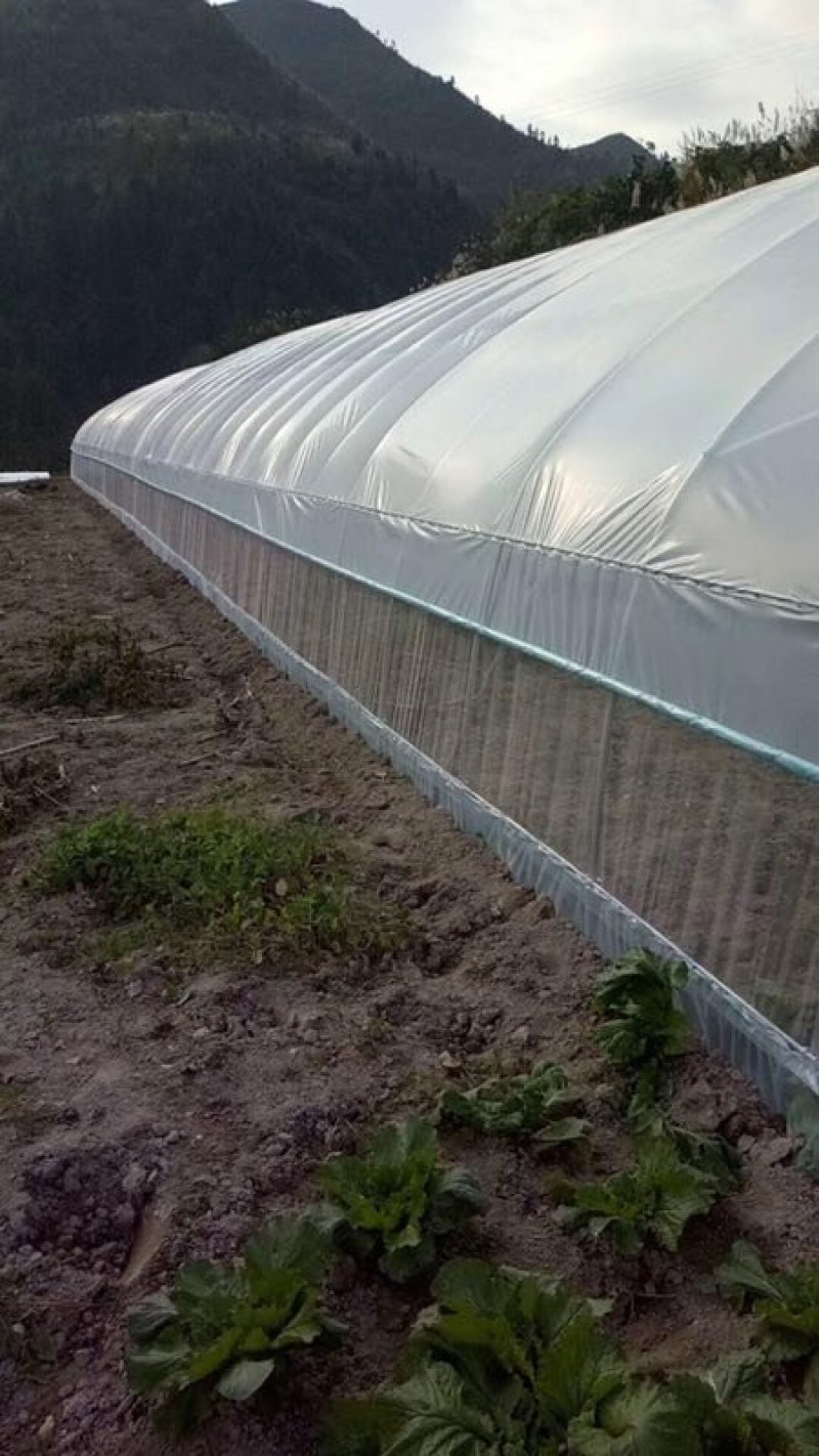 厂家直销温室大棚骨架钢管配件蔬菜大棚养殖大棚