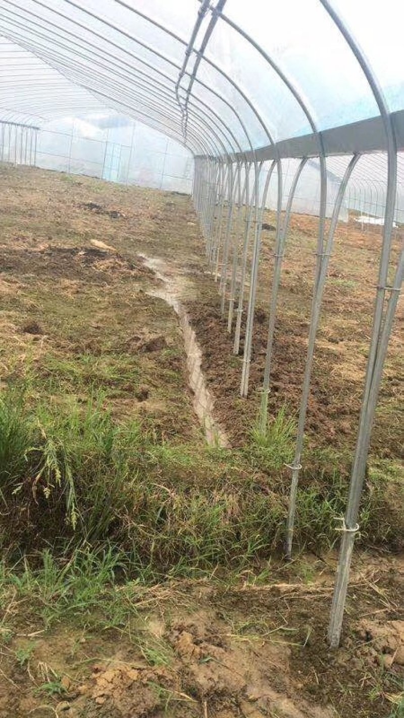 厂家直销温室大棚骨架钢管配件蔬菜大棚养殖大棚