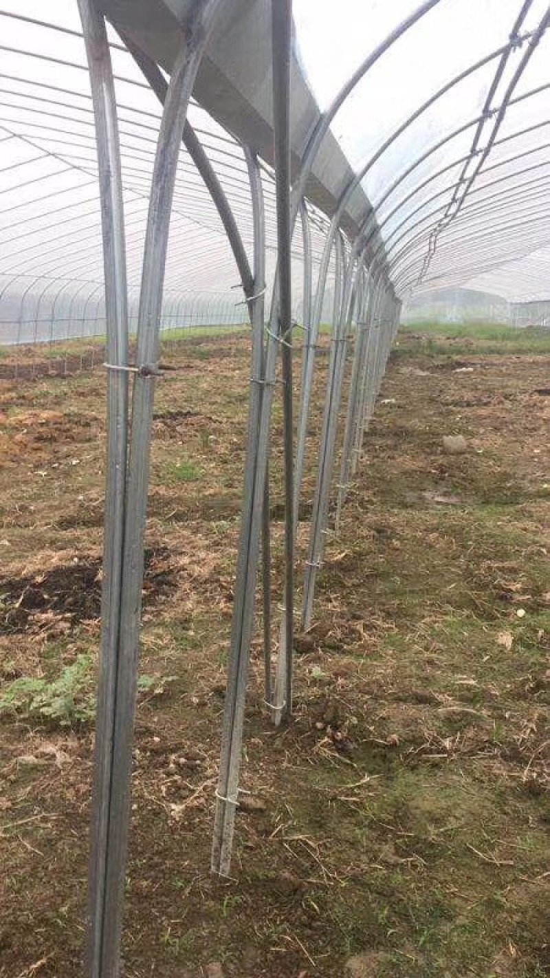 厂家直销温室大棚骨架钢管配件蔬菜大棚养殖大棚