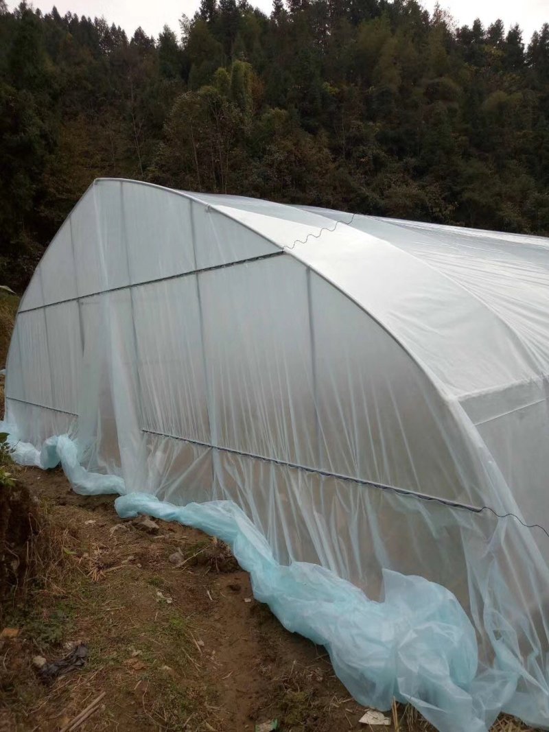 厂家直销温室大棚骨架钢管配件蔬菜大棚养殖大棚