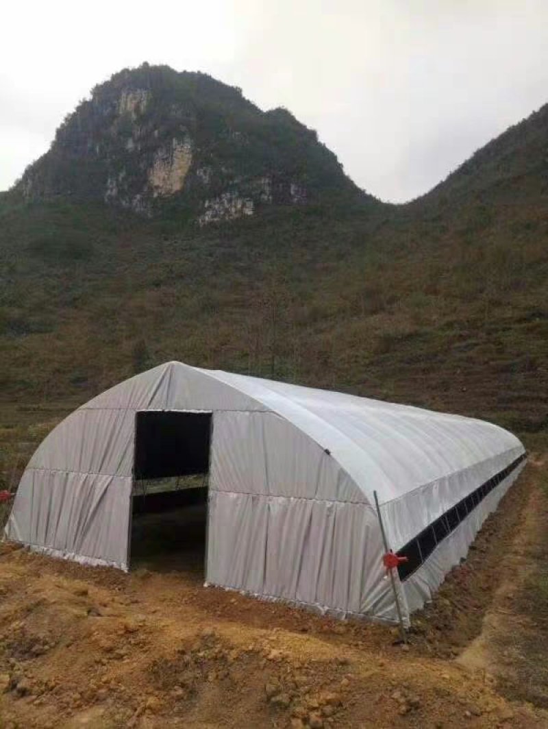 厂家直销温室大棚骨架钢管配件蔬菜大棚养殖大棚