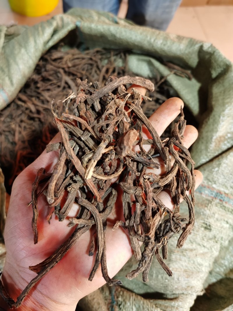 云南野生紫丹参水洗丹参条