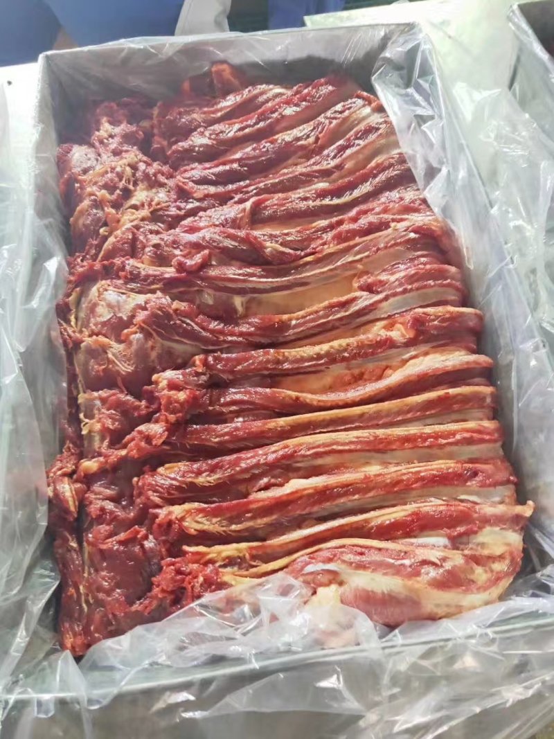 蒙古进口马肉排腩连体肋排肉，大量供应