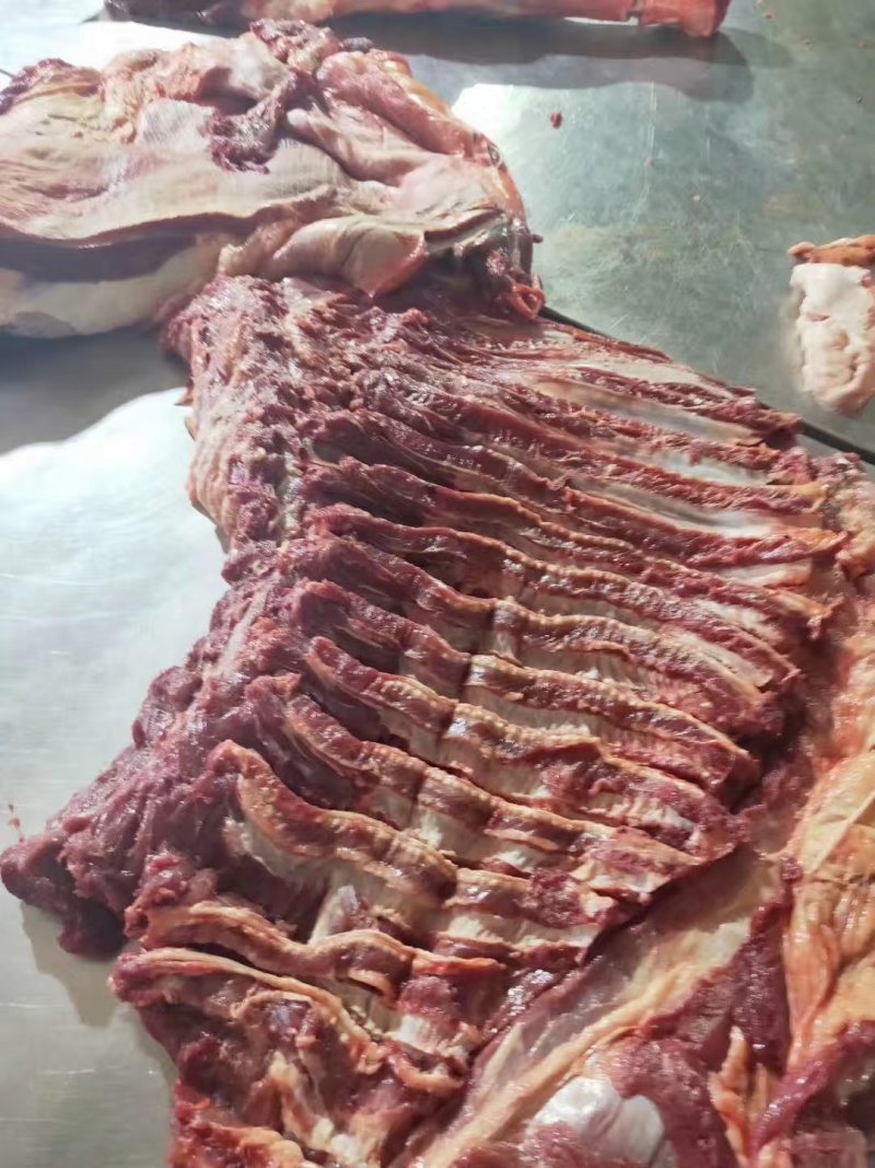 蒙古进口马肉排腩连体肋排肉，大量供应