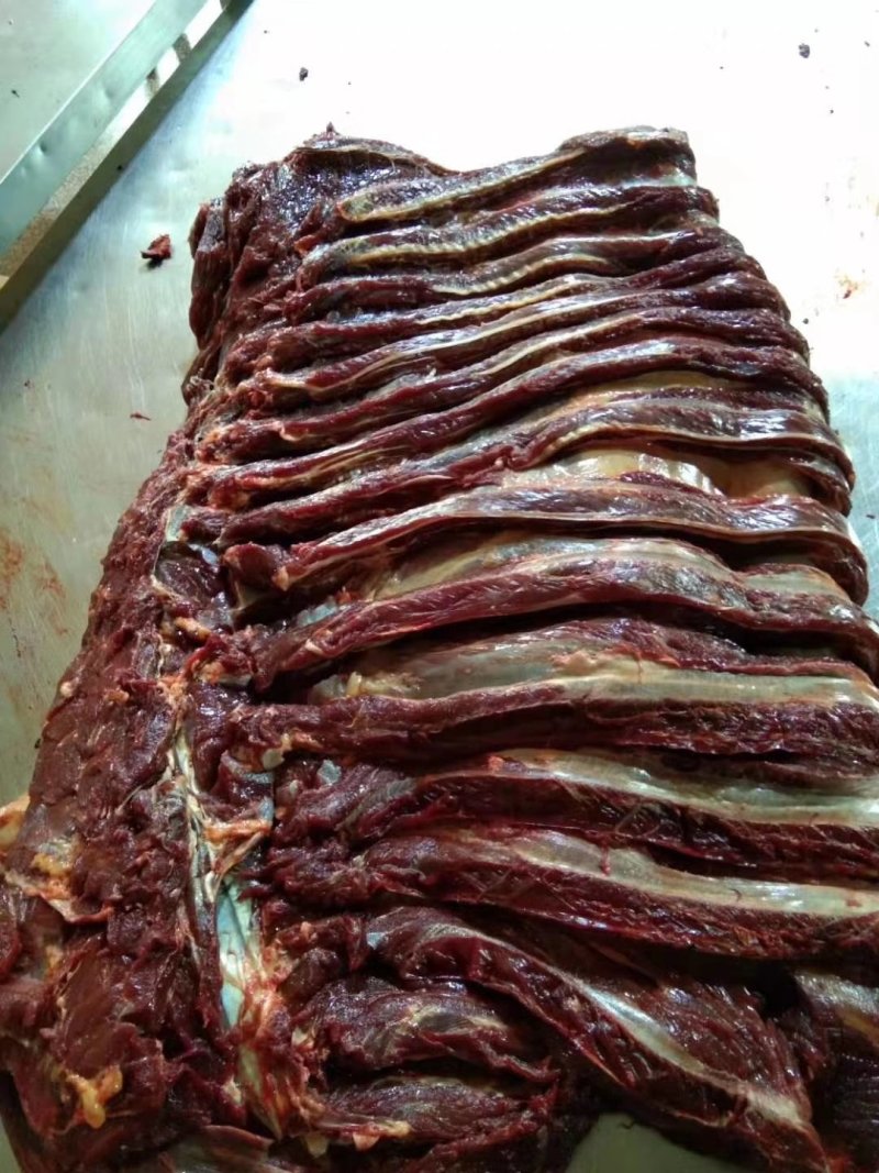 蒙古进口马肉排腩连体肋排肉，大量供应