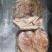 蒙古进口熟牛腩精修去油一斤出成品九两