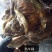 蒙古进口熟牛腩精修去油一斤出成品九两