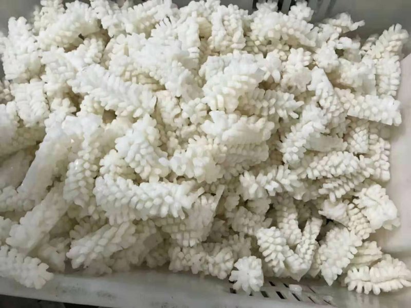 墨鱼花