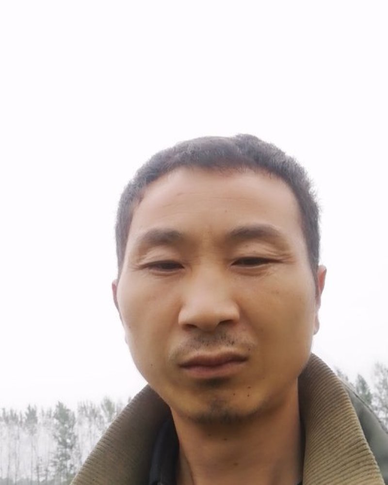 白术