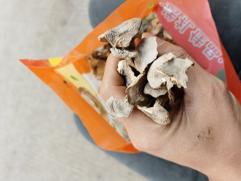 来自深山的野味鹿茸菇菌子云南野生菌子
