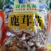 来自深山的野味鹿茸菇菌子云南野生菌子