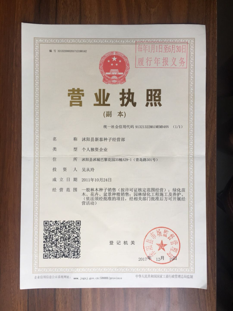 新种红桔种子积橙种子柚子种子红橘真空包装