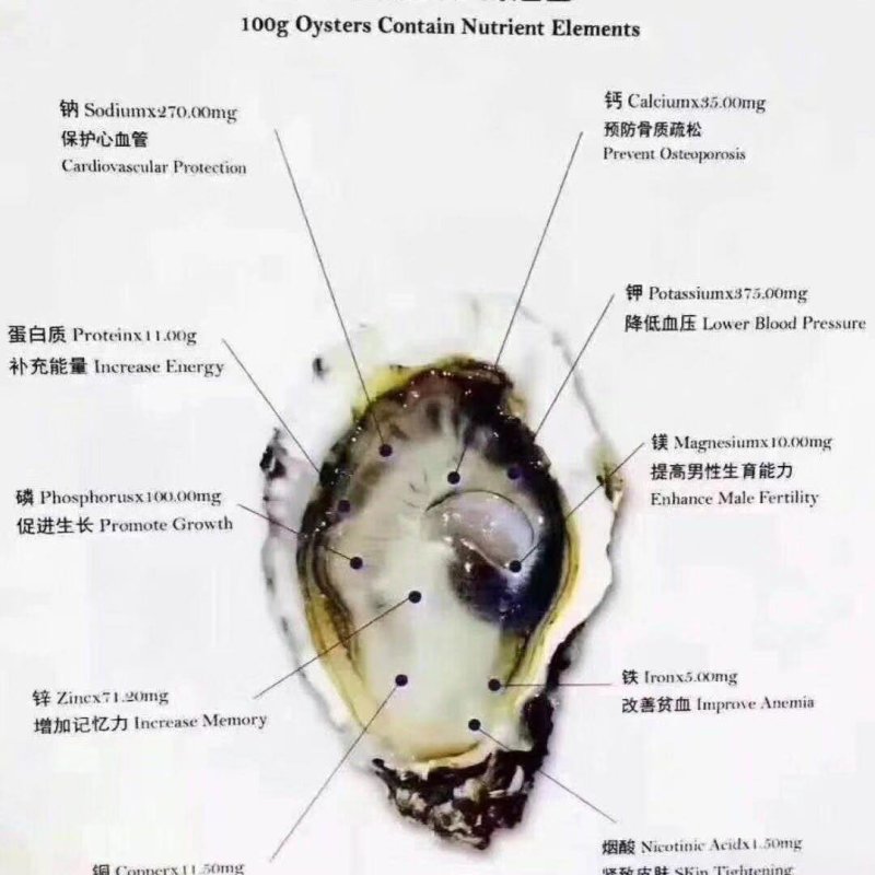 广东阳江程村生蚝(产地养殖、加工、发货)