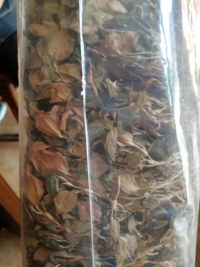 金线莲干品整株无杂质干货