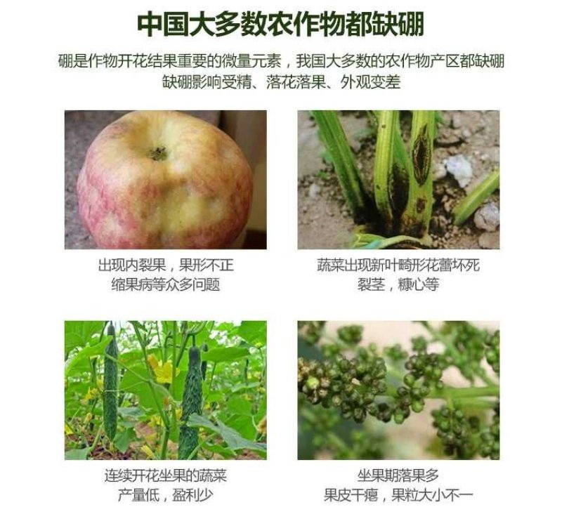 流体硼聚合硼酸钠液体硼水剂糖醇硼肥保花保果促进花芽分化