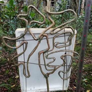 紫薇造型花瓶，花柱，植物亭子，福禄寿喜字