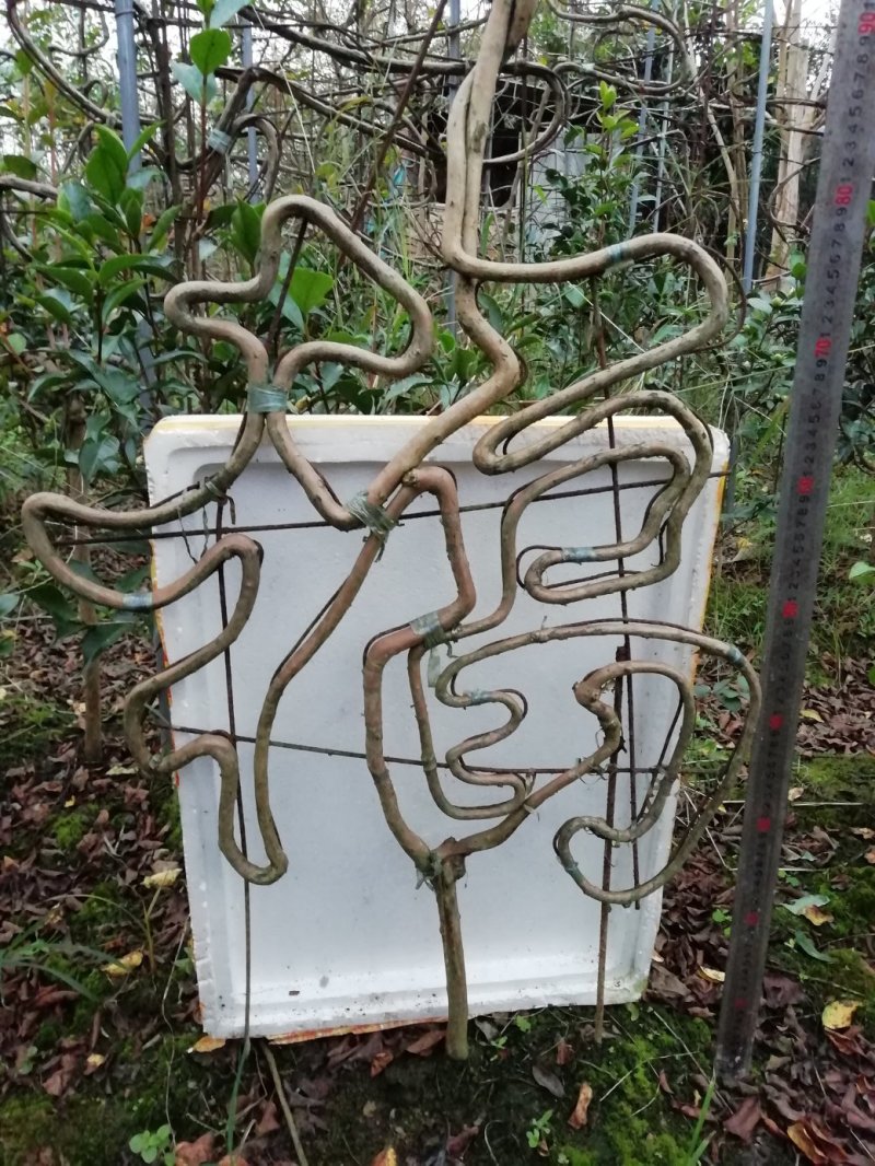 紫薇造型花瓶，花柱，植物亭子，福禄寿喜字