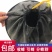 黑色收蜂笼捕蜂笼野外诱蜂招蜂笼子蜂具