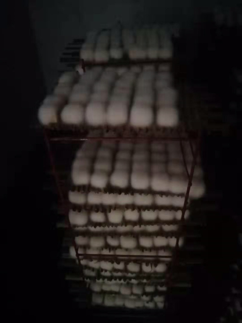 毛豆腐麻辣红豆腐自家酿制价格优惠