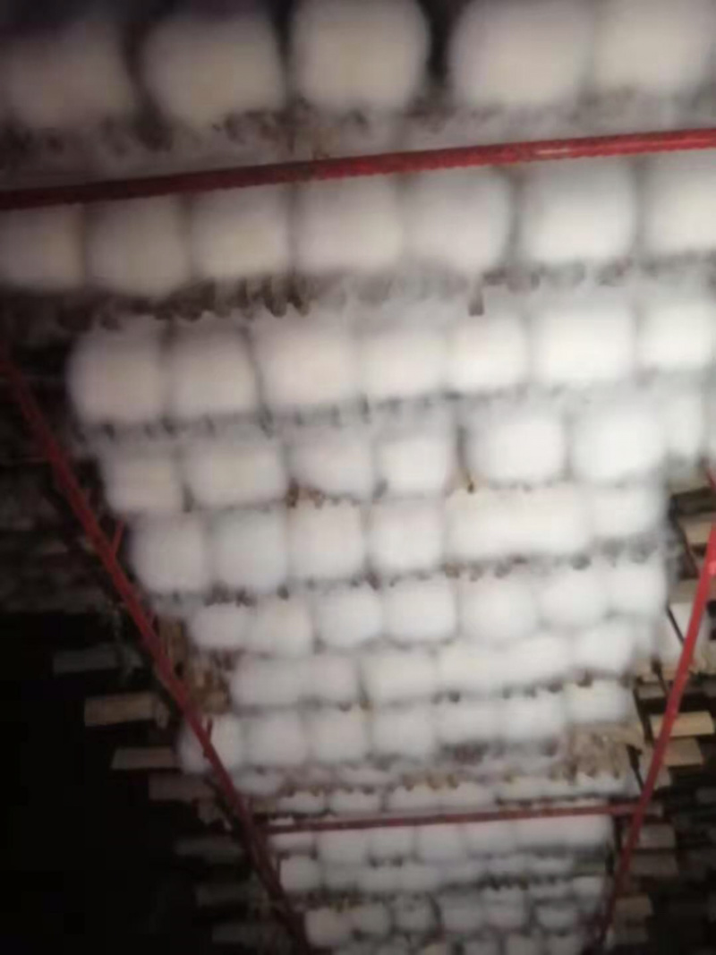 毛豆腐麻辣红豆腐自家酿制价格优惠
