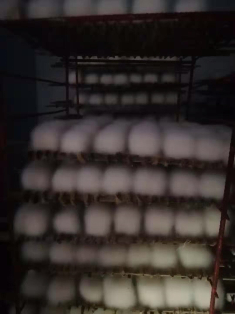 毛豆腐麻辣红豆腐自家酿制价格优惠