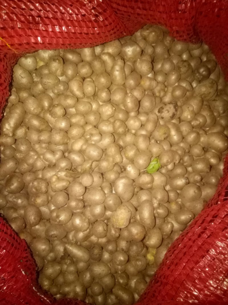 山药鲜货上市需要的联系