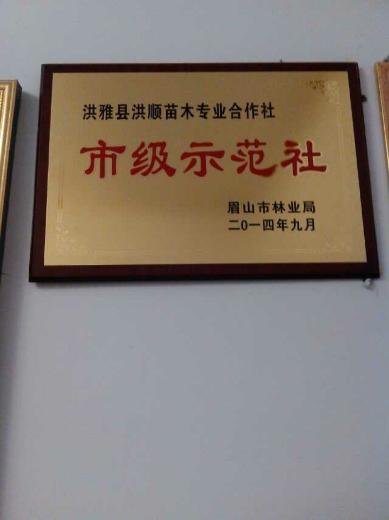 洪雅县洪顺苗木专业合作社