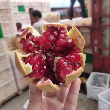 石榴
