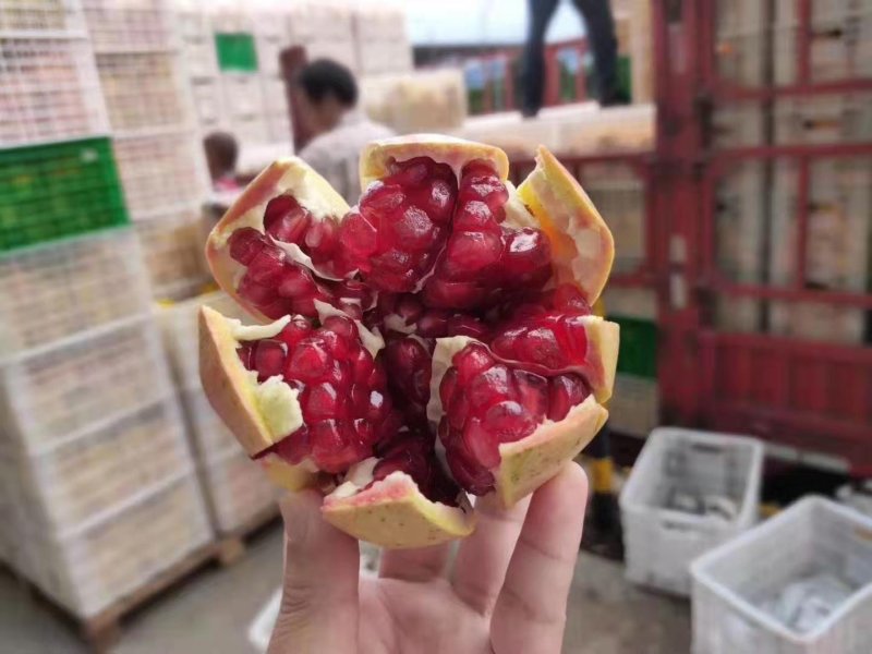 石榴