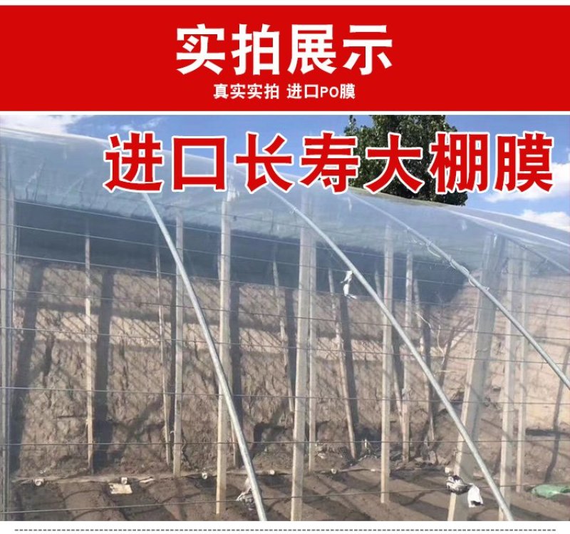 大棚膜灌浆膜蔬菜水果花卉养殖膜2米—20可定制