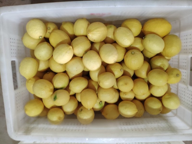 柠檬新鲜水果5斤皮薄多汁柠檬泡水黄柠檬二三级榨汁柠檬安岳