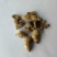 鸡根，产地直供，质优价实，品质保证，药典标准道地良药